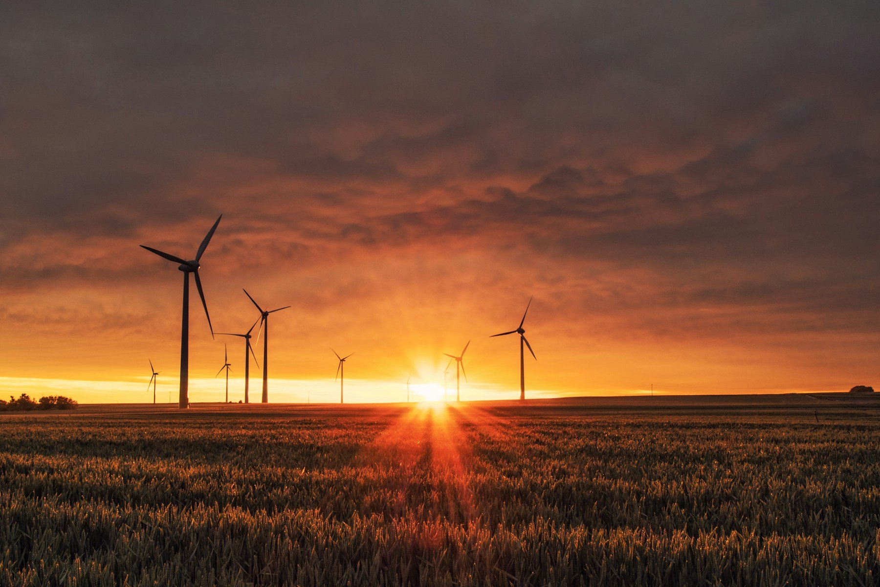 Utility-scale wind turbines in Dhofar, Oman